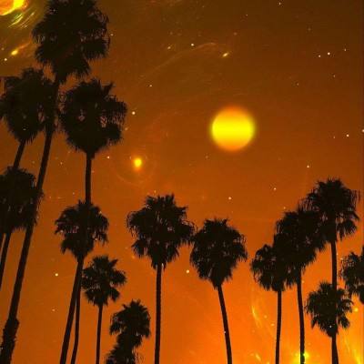 皇冠下载官网app截图